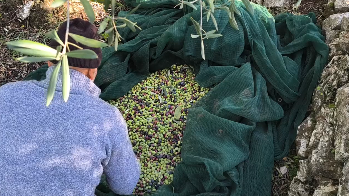 Il cibo che crea relazione